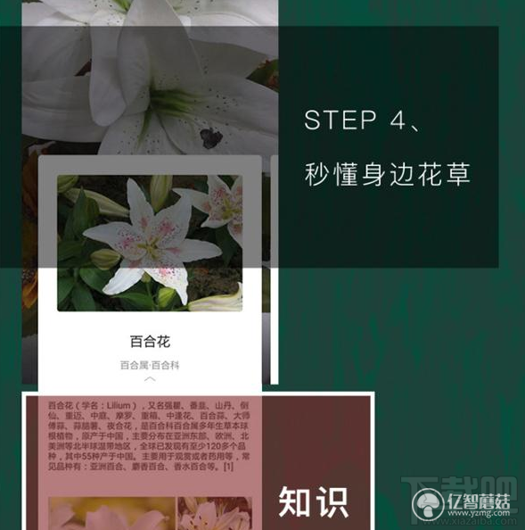 qq瀏覽器怎么識(shí)別花草?qq瀏覽器識(shí)你所見怎么玩