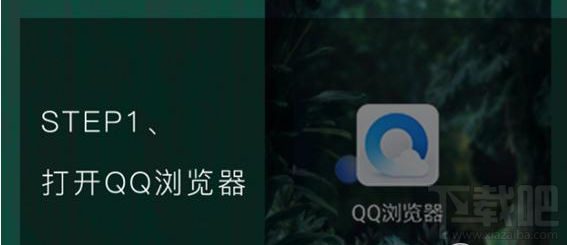 qq瀏覽器怎么識(shí)別花草?qq瀏覽器識(shí)你所見怎么玩
