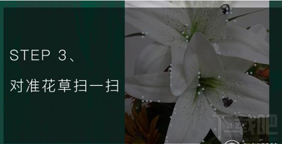 qq瀏覽器怎么識(shí)別花草?qq瀏覽器識(shí)你所見怎么玩