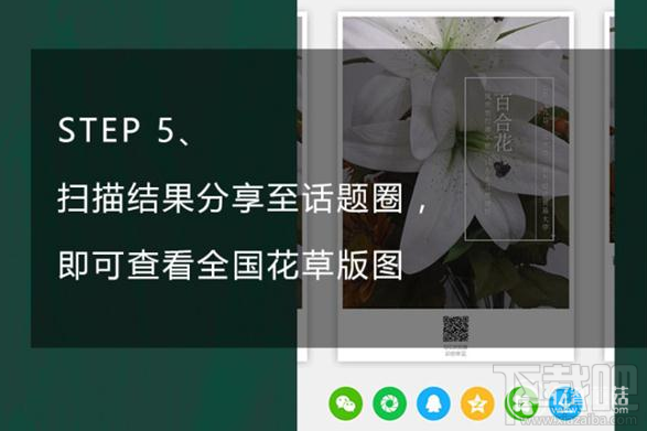 qq瀏覽器怎么識(shí)別花草?qq瀏覽器識(shí)你所見怎么玩