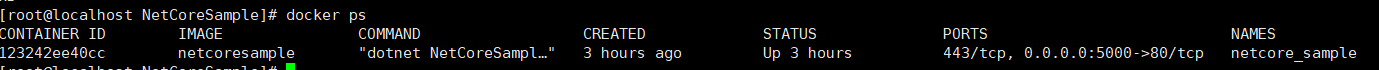 asp.net core應(yīng)用docke部署到centos7的全過程