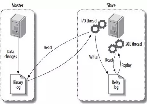 詳解用Docker構建MySQL主從環境