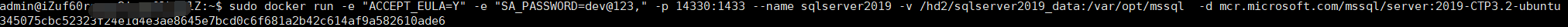 使用Docker運行SQL Server的實現