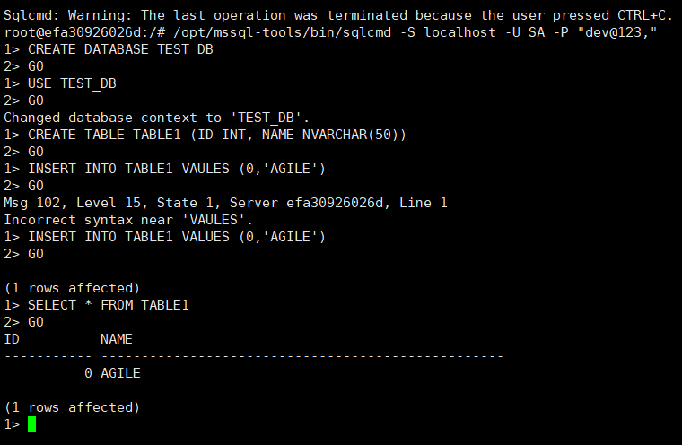 使用Docker運行SQL Server的實現