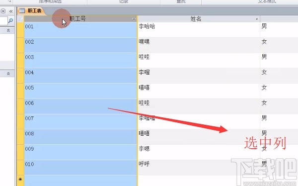 Microsoft Office Access凍結(jié)字段的方法