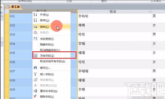 Microsoft Office Access凍結(jié)字段的方法
