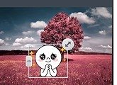 連我相機(jī)怎么使用?連我相機(jī)使用方法說(shuō)明