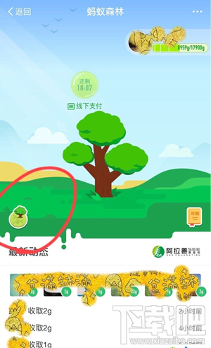 支付寶螞蟻森林地圖怎么進入？螞蟻森林模擬地圖入口在哪