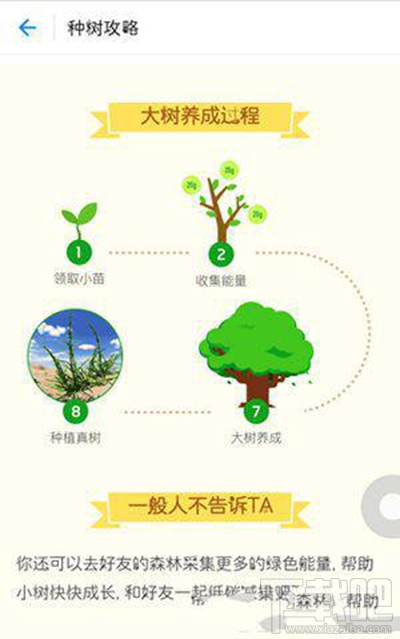 支付寶螞蟻森林澆水辦法？