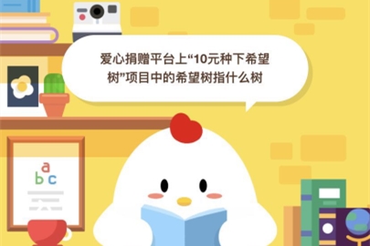 愛心捐贈平臺上10元種下希望樹項目中的希望樹指什么樹?