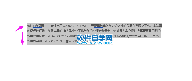 word2019怎么快速選擇全文內容