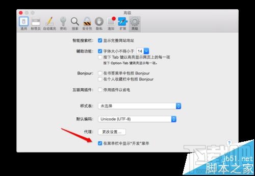 MAC系統(tǒng)中怎么開啟Safari開發(fā)者模式?