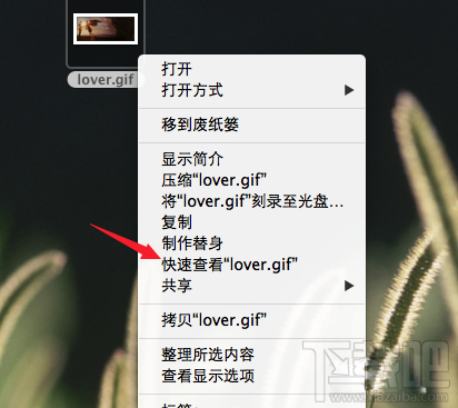 Mac怎么查看gif圖片？Mac系統(tǒng)怎么查看gif圖片？