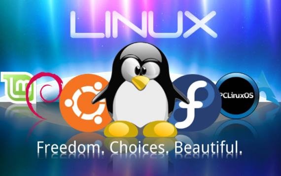 為什么高手離不開(kāi)Linux系統(tǒng)？
