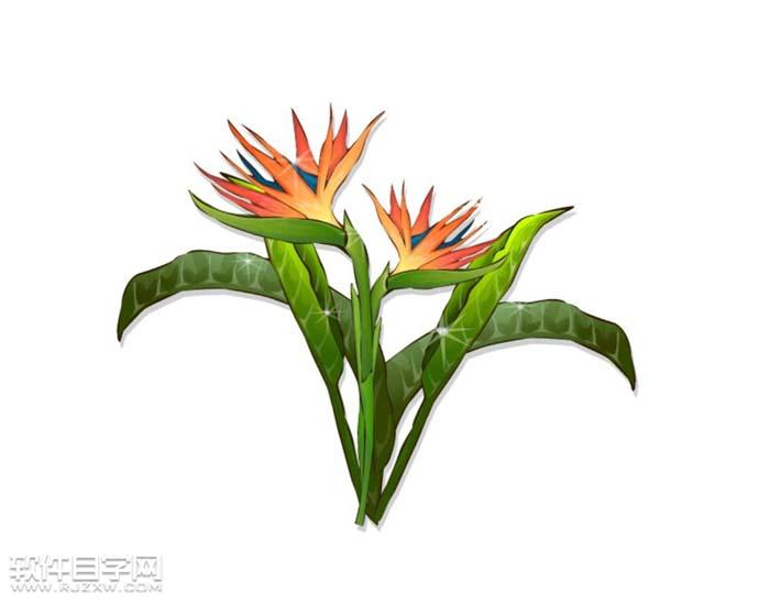 ai怎么繪制天堂鳥(niǎo)花