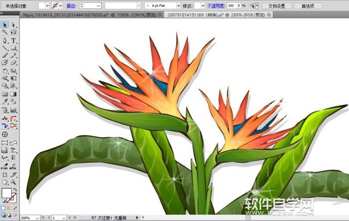 ai怎么繪制天堂鳥(niǎo)花