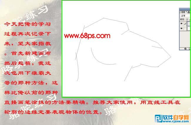 PS繪制沙漠駱駝插畫(huà)