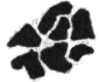 PS繪制沙漠駱駝插畫(huà)
