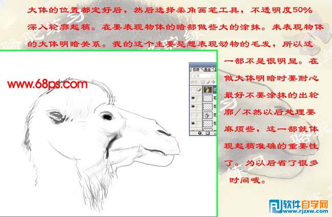 PS繪制沙漠駱駝插畫(huà)