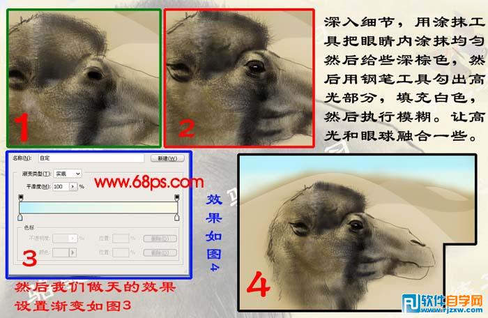 PS繪制沙漠駱駝插畫(huà)