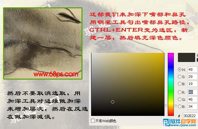 PS繪制沙漠駱駝插畫(huà)