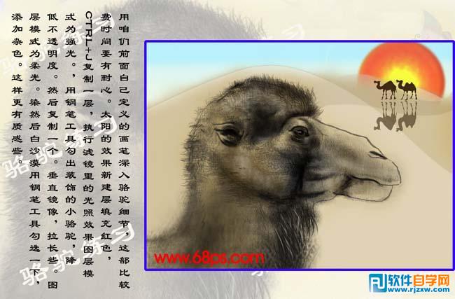 PS繪制沙漠駱駝插畫(huà)
