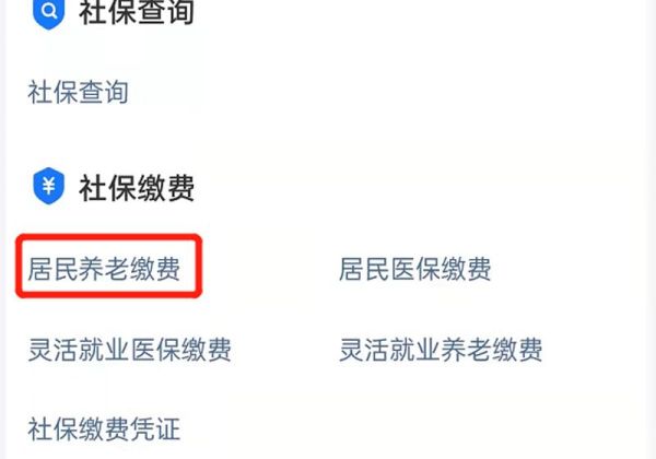 手機(jī)上可以交養(yǎng)老保險(xiǎn)嗎?怎么交